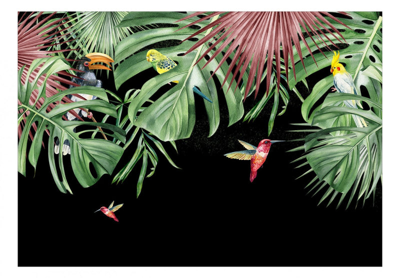 Fototapetes at tropiskam lapam, kolibri un papagaiļiem uz melna fona G-ART