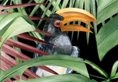 Fototapetes at tropiskam lapam, kolibri un papagaiļiem uz melna fona G-ART