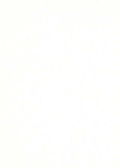 Sniegbaltas vienkrāsainas tapetes ar spīdīgu virsmu - 3702415 Erismann